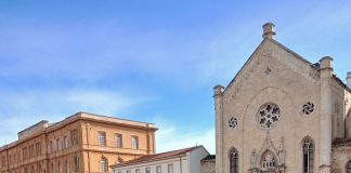 Tra Darsene monumentali e fichi selvatici: la doppia anima dell’acqua livornese Tra Darsene monumentali e fichi selvatici